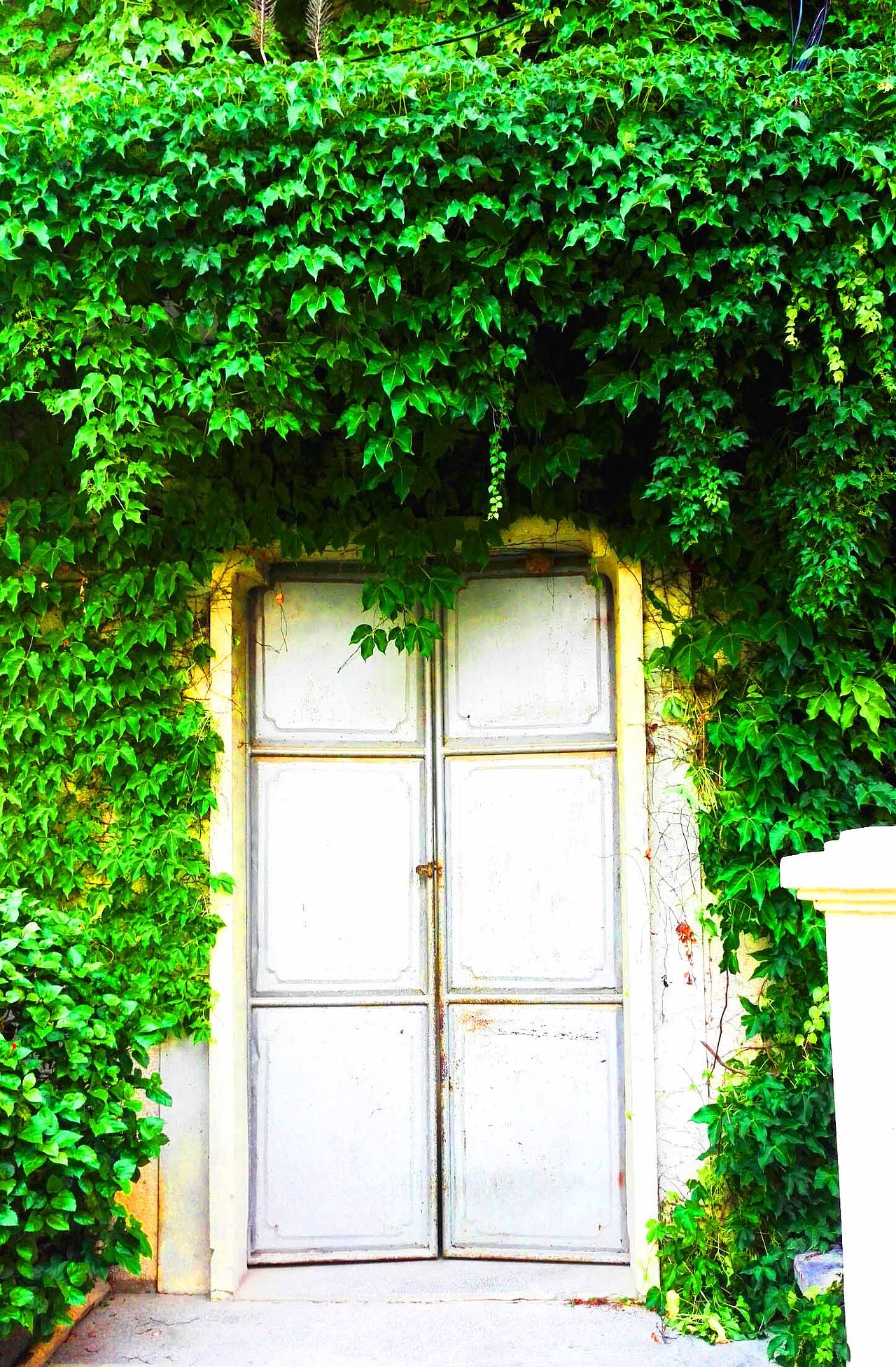 母校河婆中学的教学楼