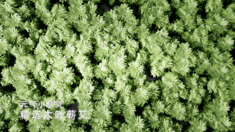 元气达人 | 七日微烟小悬灸（图ZMzMzODAxMzUy） - 动画/影视 - 站酷设计师VastSky长空原创素材 - 站酷ZCOOL