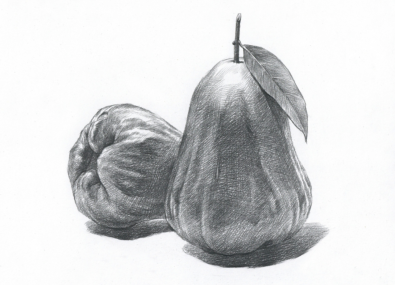 莲雾绘画香蕉步骤