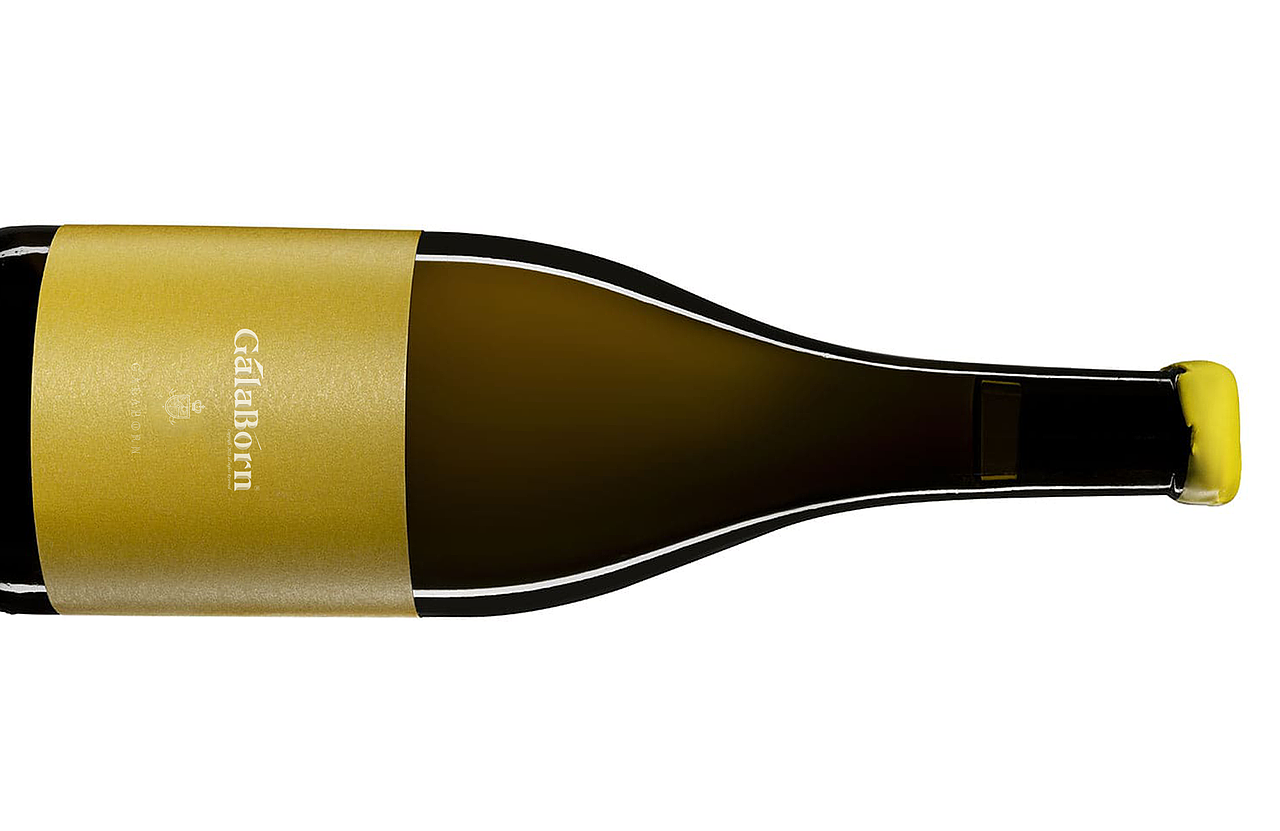 4.中文&应用延展 |GALABORN品牌识别手册