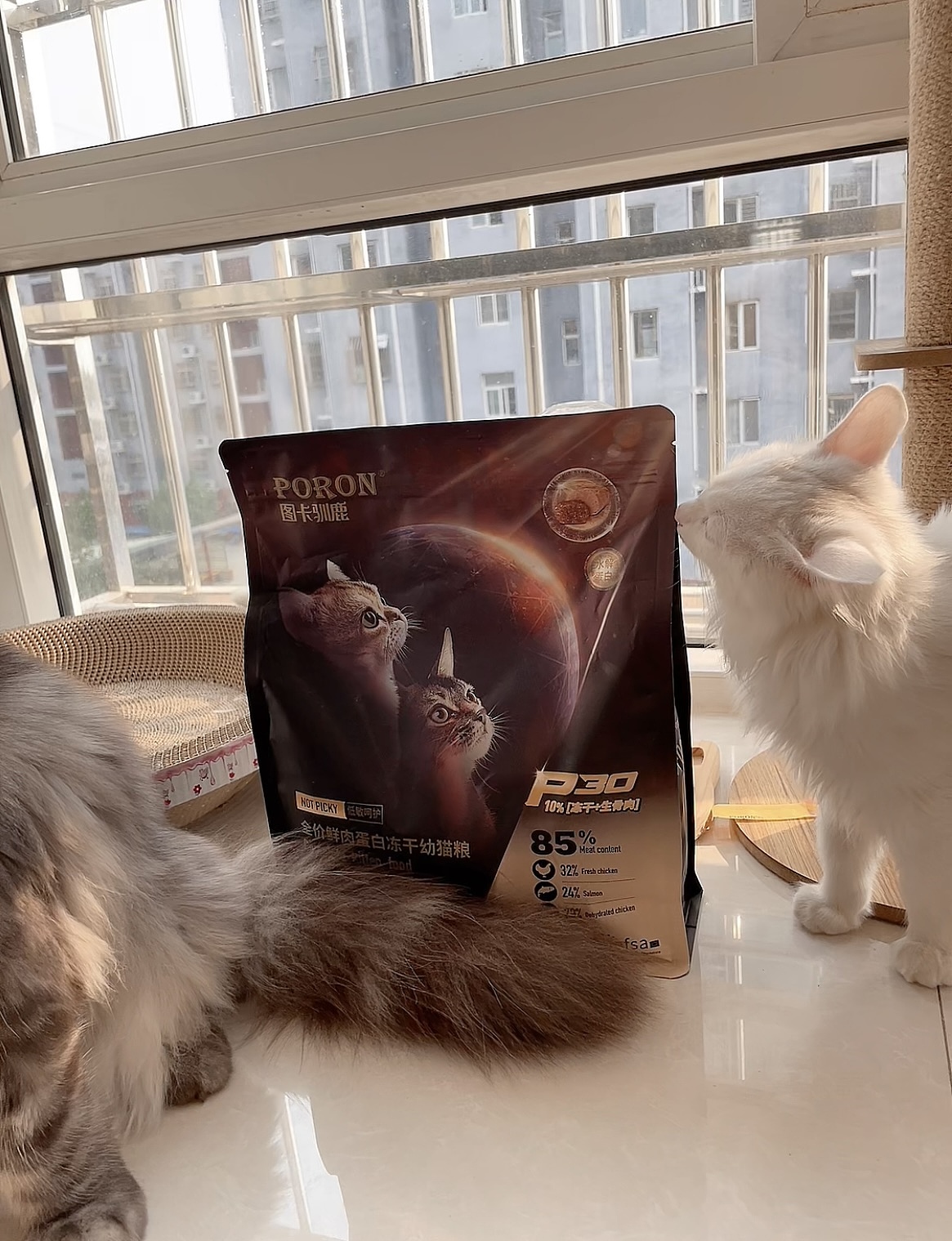 图卡驯鹿宠物食品（图ZMzU3NDk5ODgw） - 海报 - 站酷设计师虾糊土豆原创素材 - 站酷ZCOOL