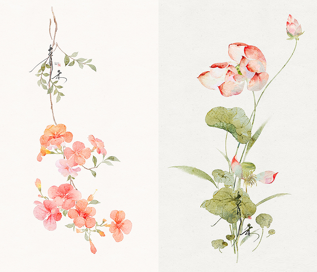 水彩花卉系列图