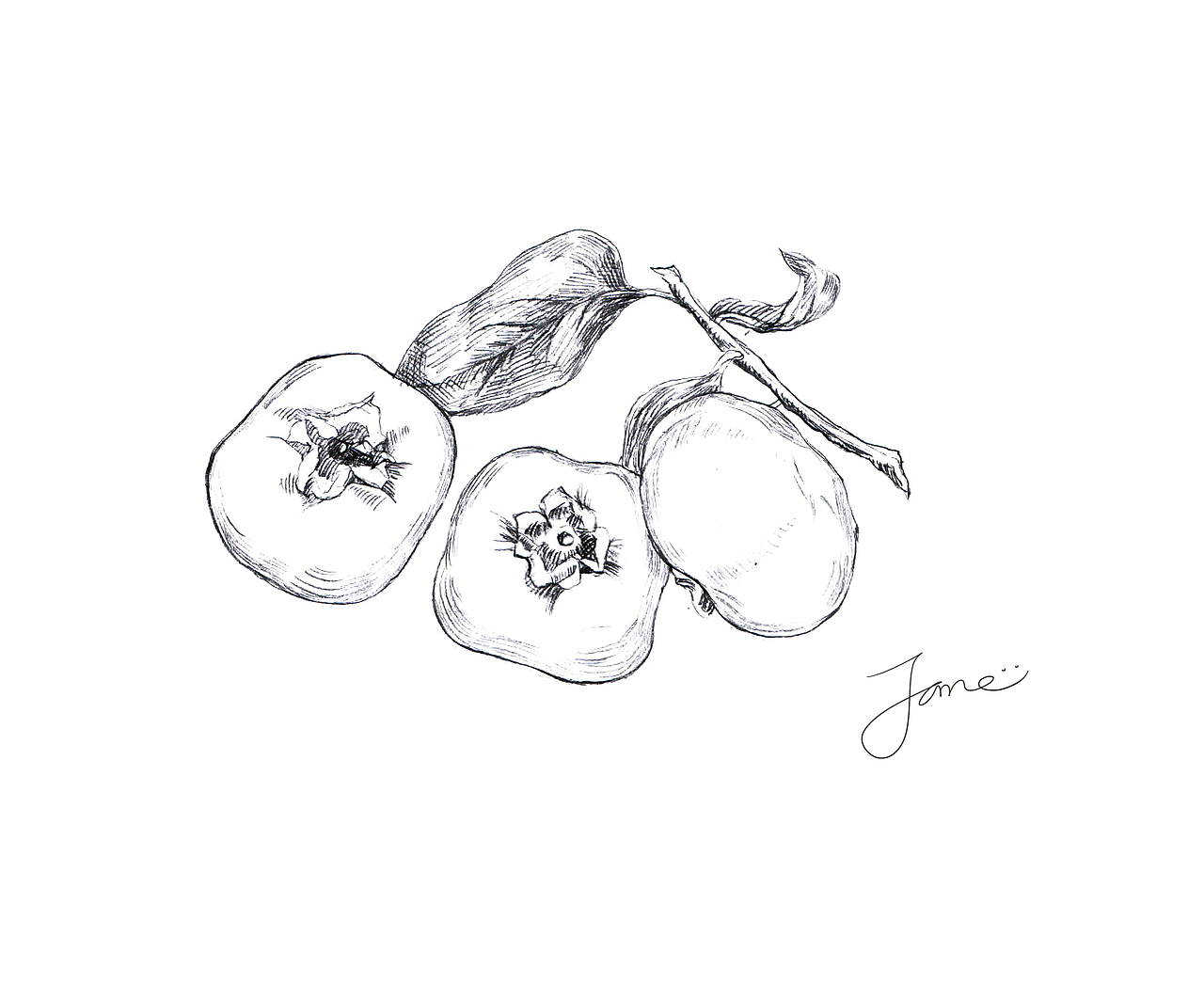 近作（图ZNTQ4MTQ1NjA=） - 创作习作 - 站酷设计师毛线热干面原创素材 - 站酷ZCOOL