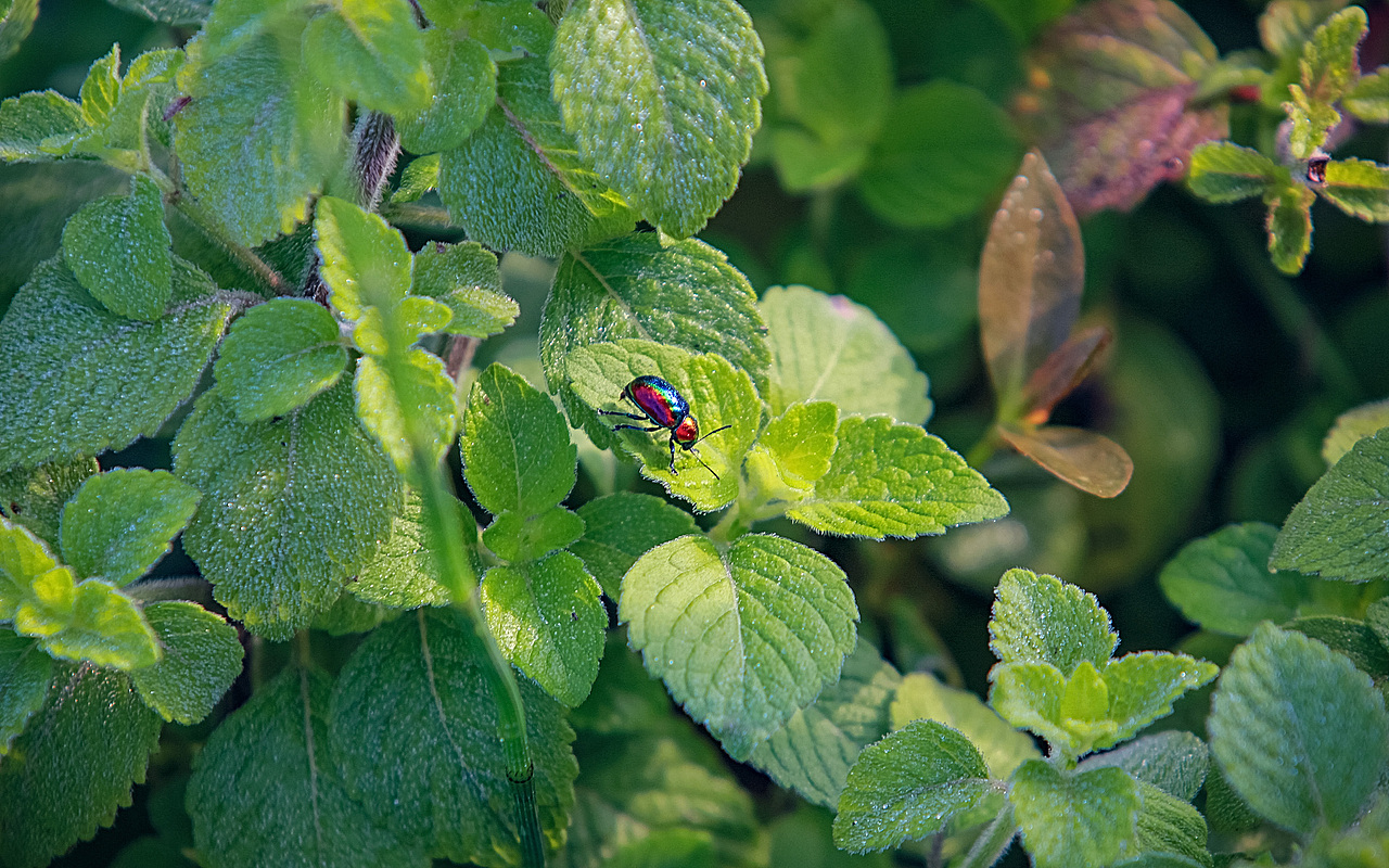 那村那人那风光（图ZNjE2ODA2Njg=） - 风光摄影 - 站酷设计师sunnysat原创素材 - 站酷ZCOOL
