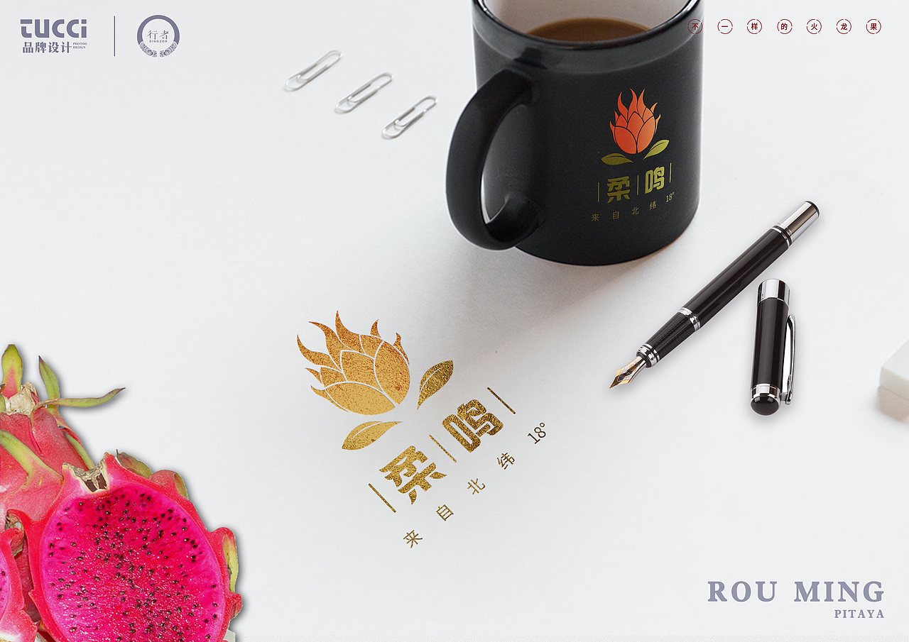 柔鸣火龙果LOGO方案（图ZMTI1NTkxMTc2） - Logo - 站酷设计师黄大海原创素材 - 站酷ZCOOL