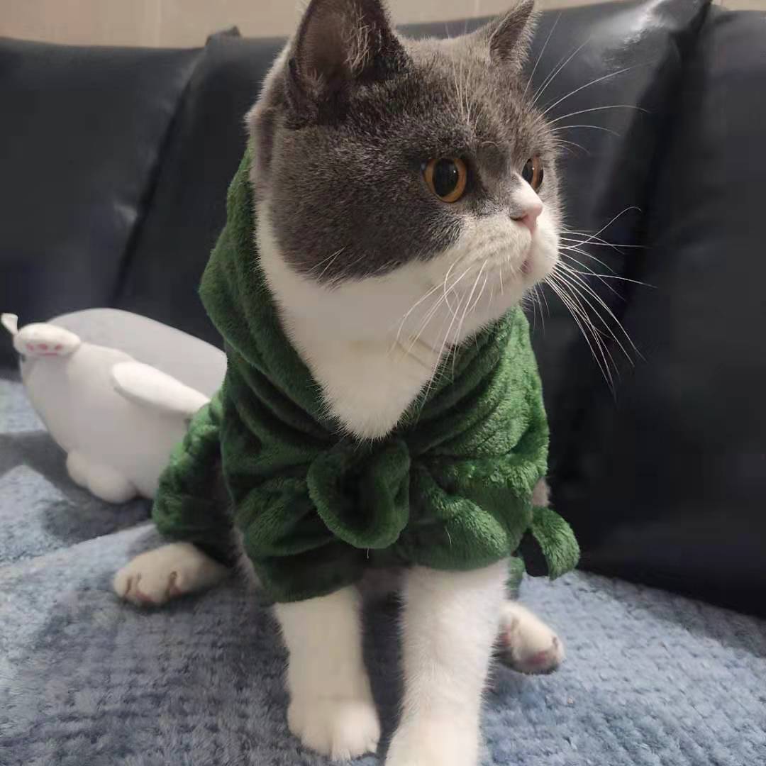 Z70611625的个人主页（背景预览） - 主页背景设置 - 站酷设计师Z70611625原创素材 - 站酷ZCOOL