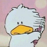 一颗方糖橙子的头像