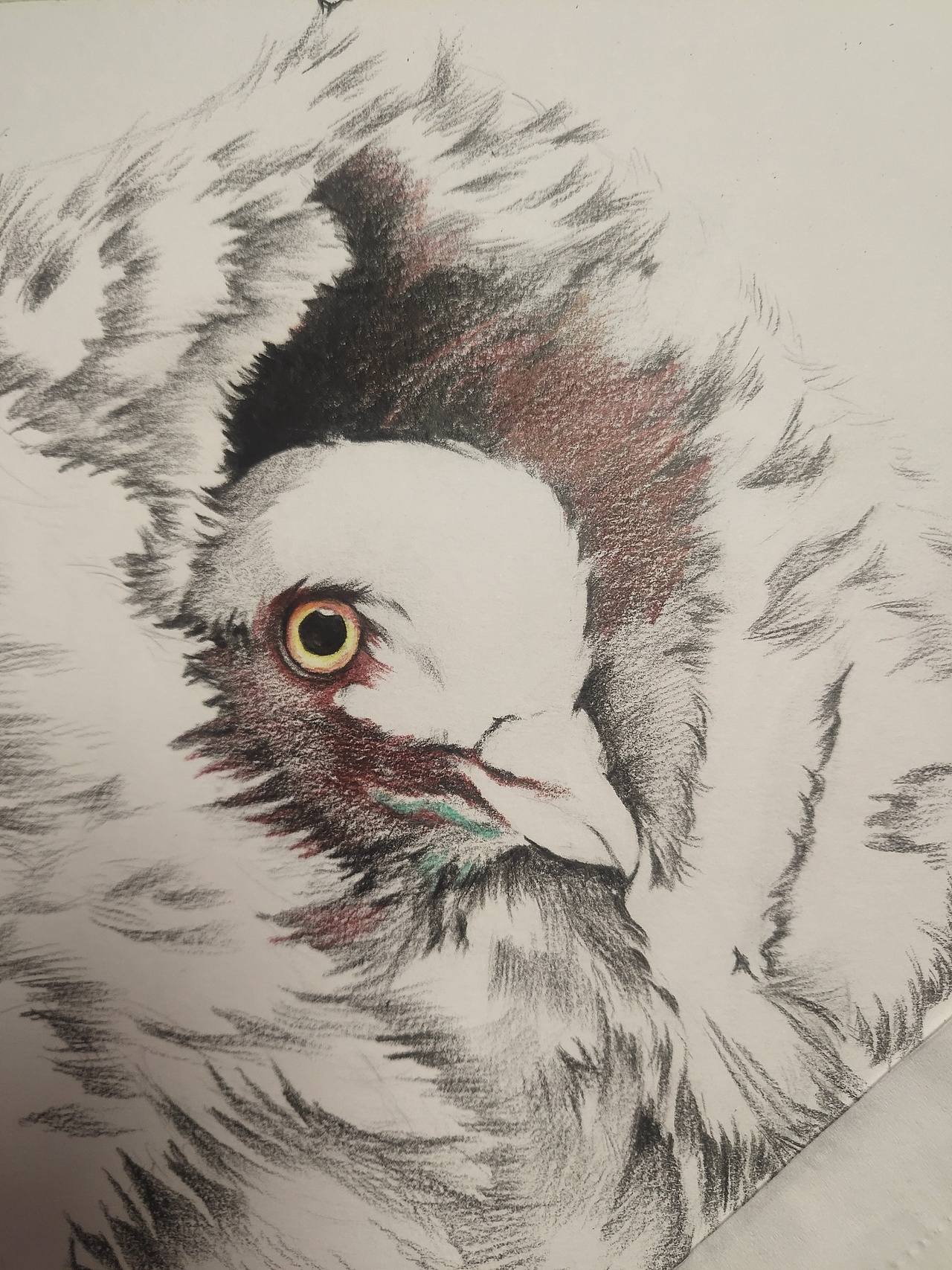 开始涂色,先把眼睛细致刻画出来