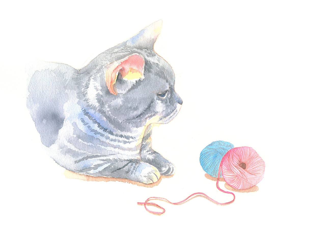 2020年插画总结