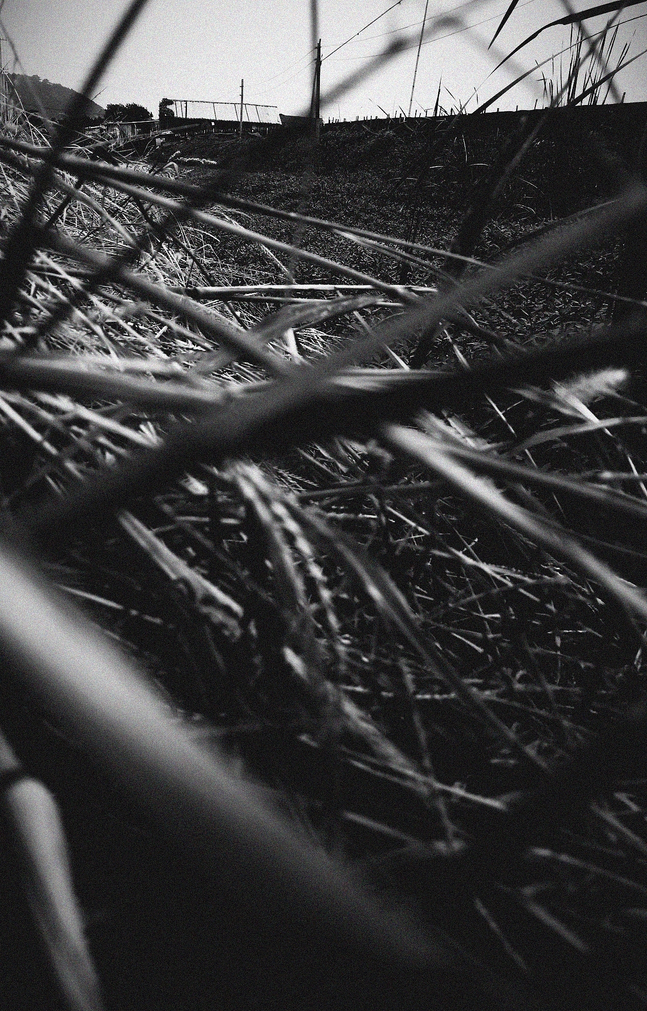 无题（图ZOTAxNTIyNzY=） - 其他摄影 - 站酷设计师小隐西亭原创素材 - 站酷ZCOOL