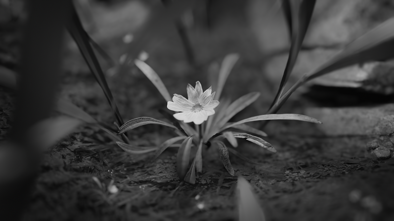 Blender第二个作品（图ZMjkyNzg0Njg0） - 动画/影视 - 站酷设计师黄亮亮同学HLL原创素材 - 站酷ZCOOL