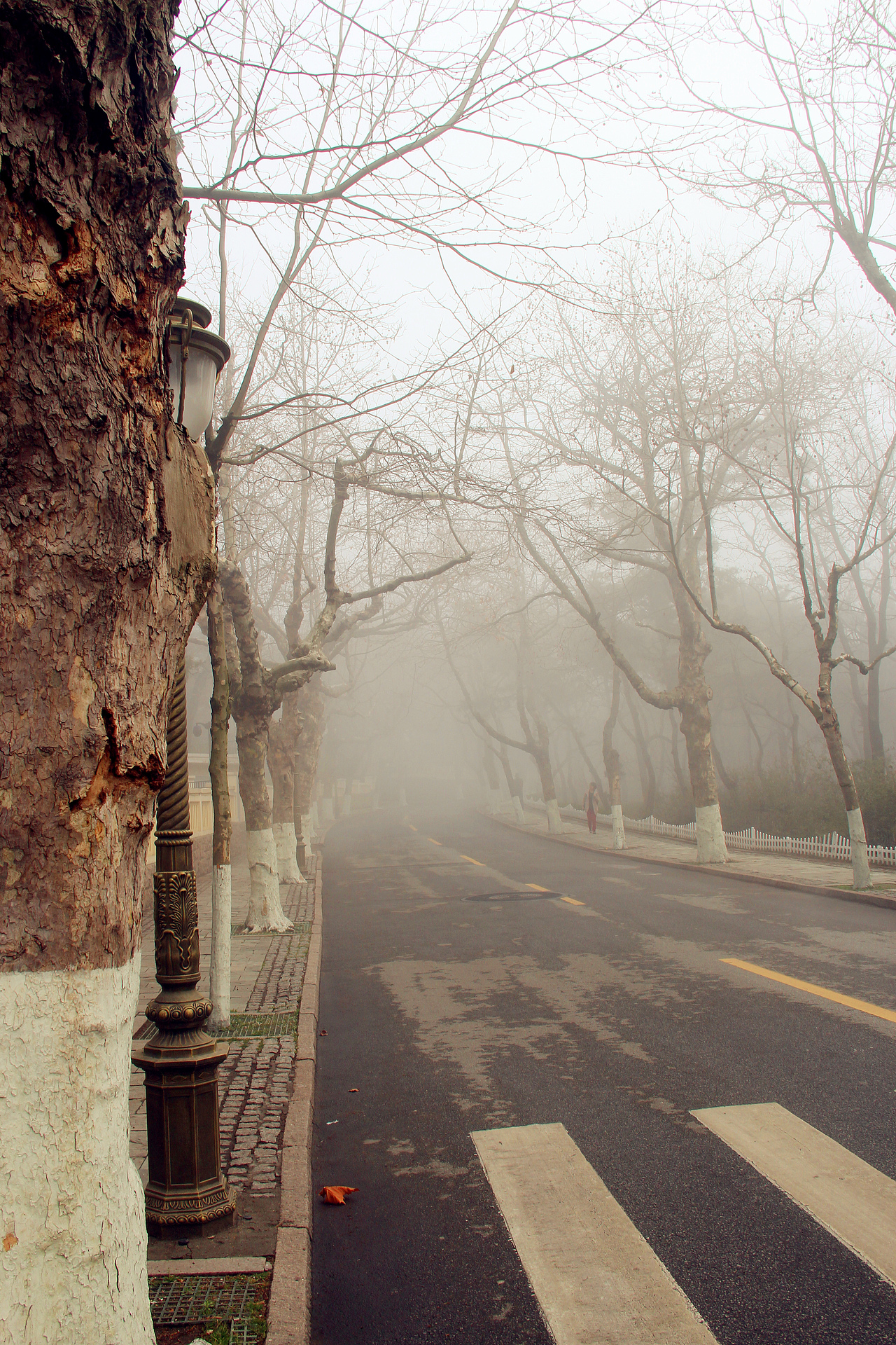 遇见·青岛#出发的勇气2014#