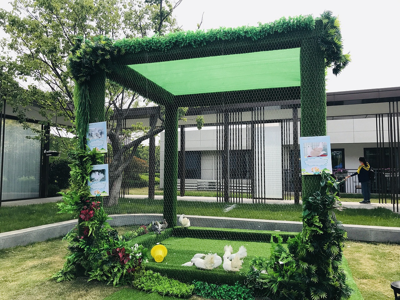 萌宠百鸟展（万达广场）（图ZMjA1NTU1MTM2） - 人文/纪实摄影 - 站酷设计师放狼的小羊原创素材 - 站酷ZCOOL