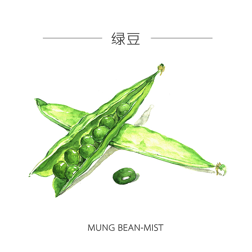 人类食谱-蔬菜（图ZMzY4MDg5NjQ=） - 商业插画 - 站酷设计师反派放映原创素材 - 站酷ZCOOL