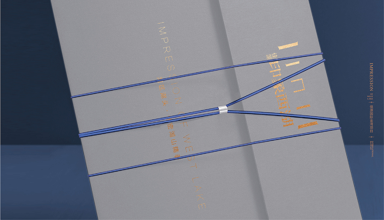 佳源国际印象西湖提案