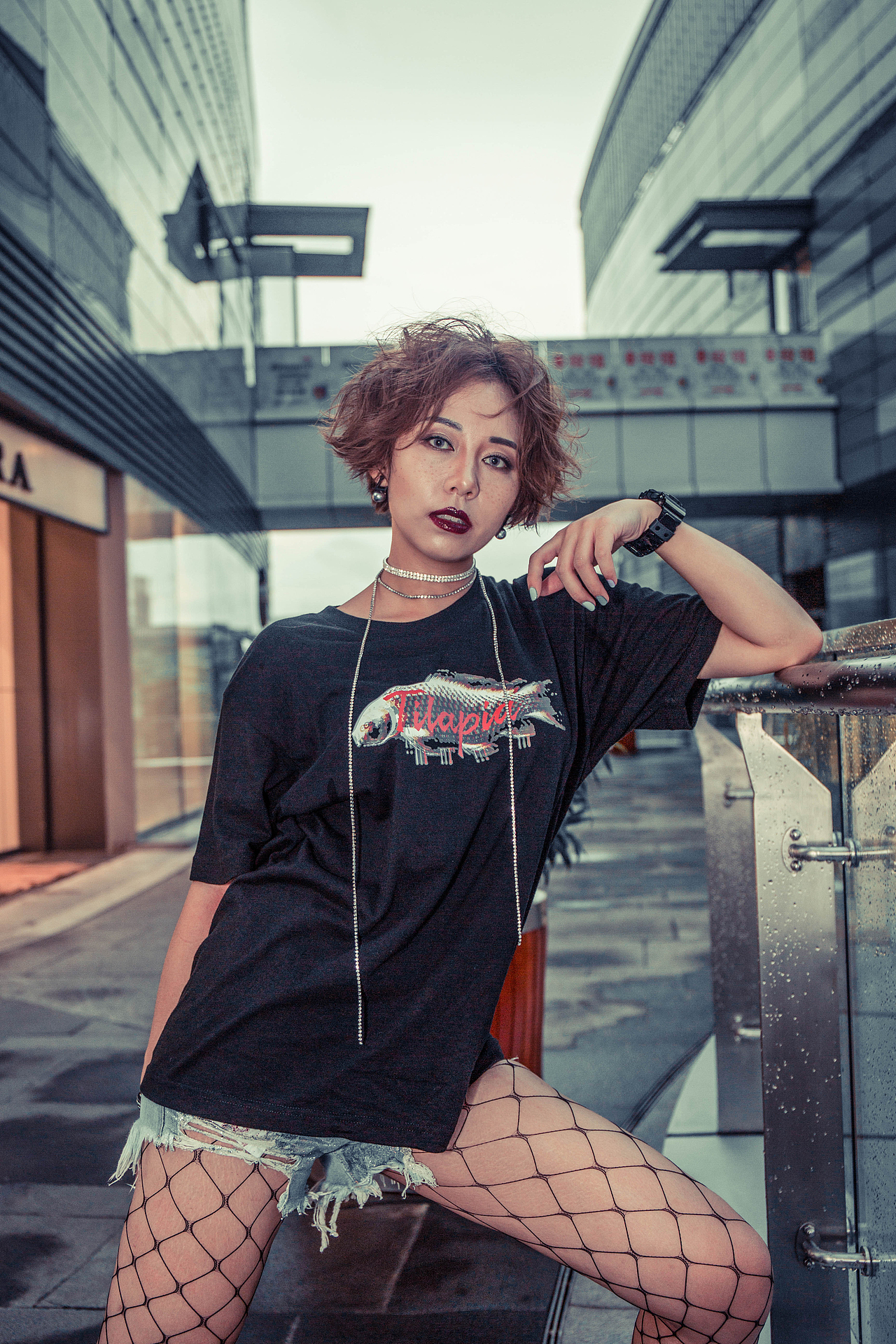 2017 HELLO WORLD 强势来袭！