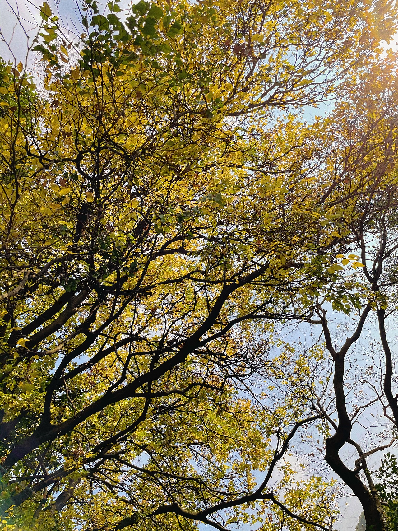 黄埔军校·摄影