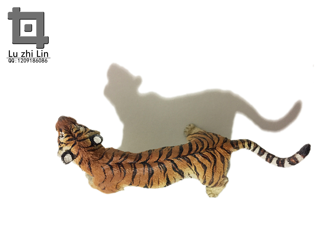 动物模型 老虎展示