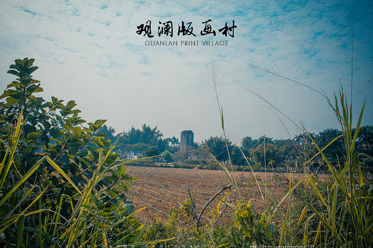 花海附近是草莓园,去的时候无意碰到草莓采摘的时期