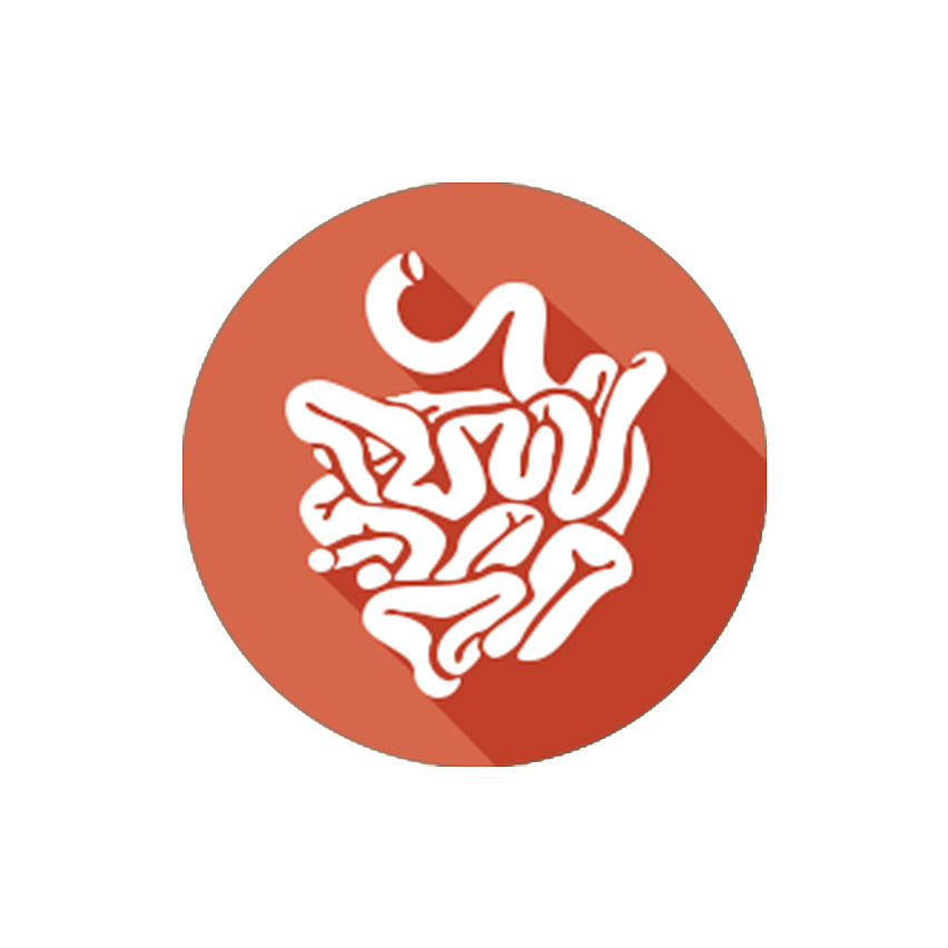 长投影图标（图ZNDUyODU1NDA=） - 图标 - 站酷设计师ElevenLin原创素材 - 站酷ZCOOL