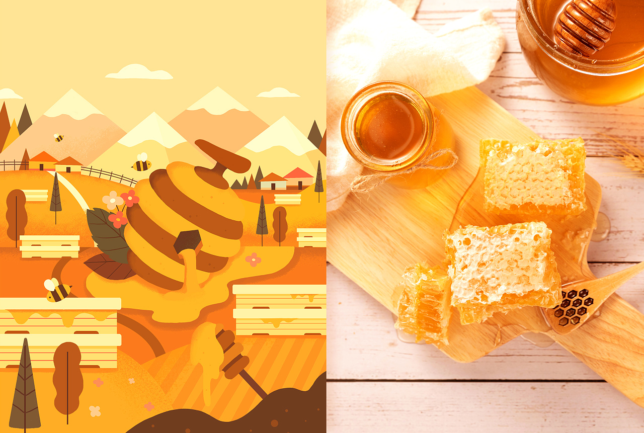 【包装插画】伊犁黑蜂蜜