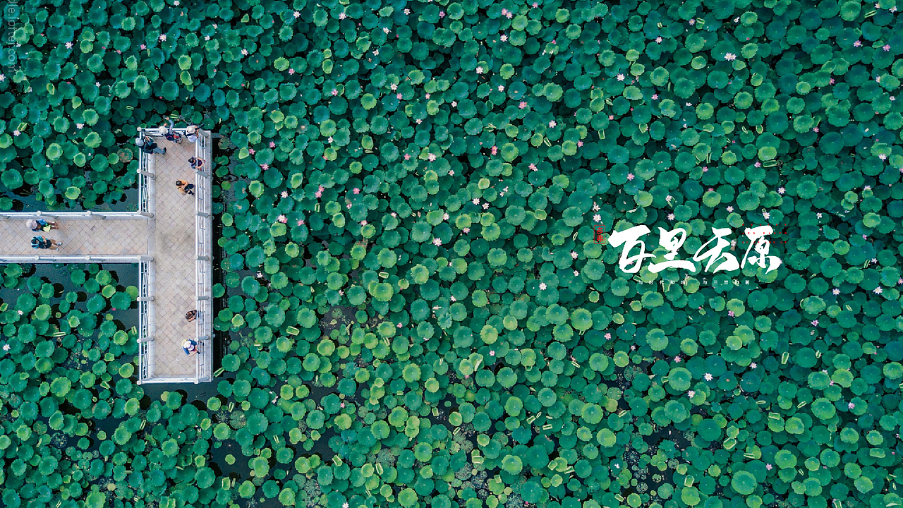 百里天原VI视觉