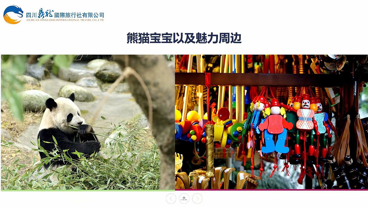 2019年熊猫乐园7日爱心体验