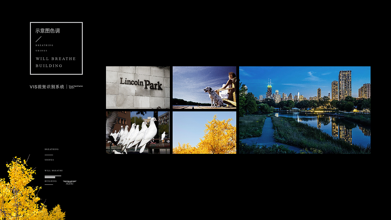 平时的一些作品