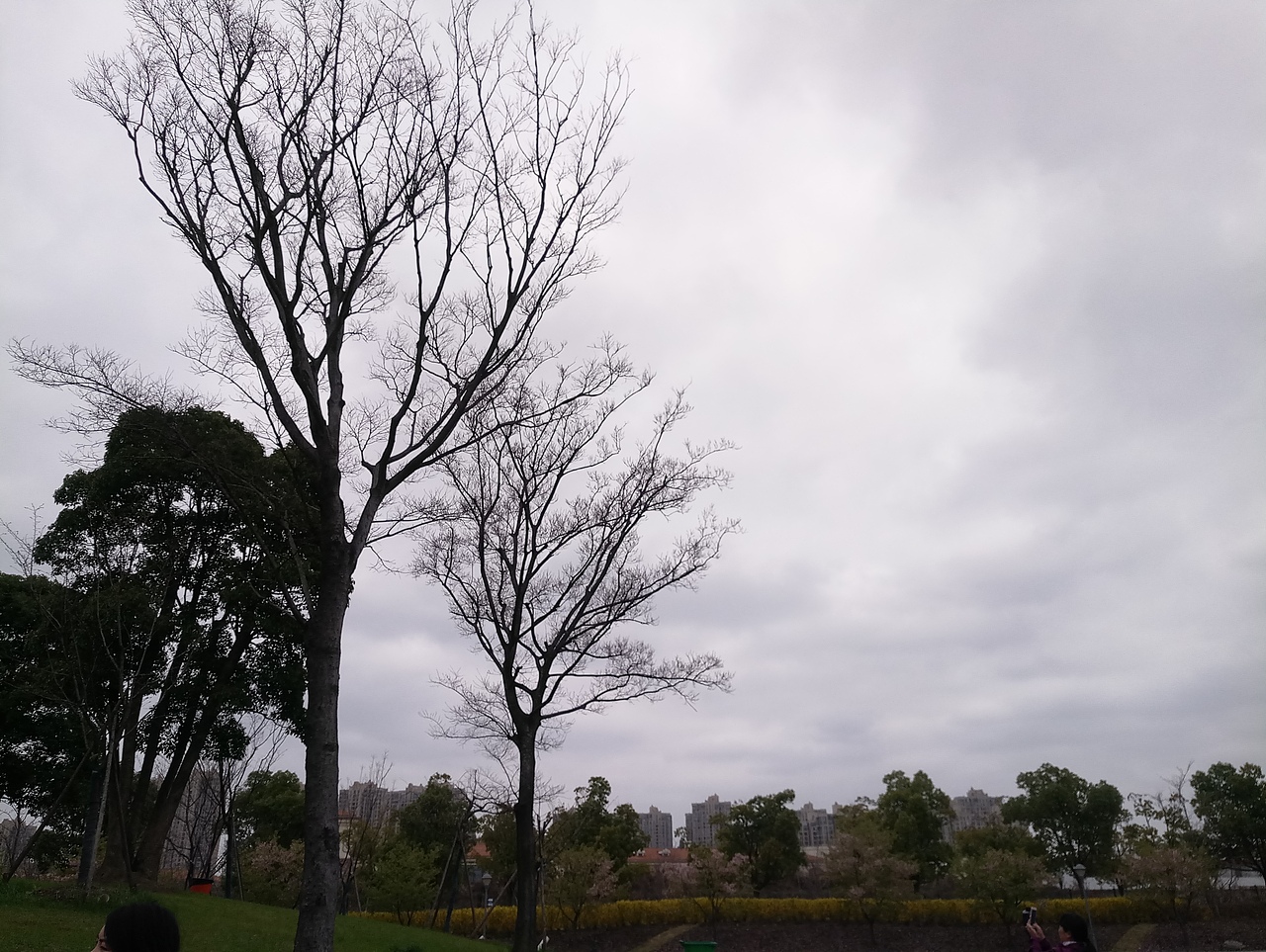 春之密影（图ZMTA4MjU4MzY0） - 产品摄影 - 站酷设计师珍丫头原创素材 - 站酷ZCOOL