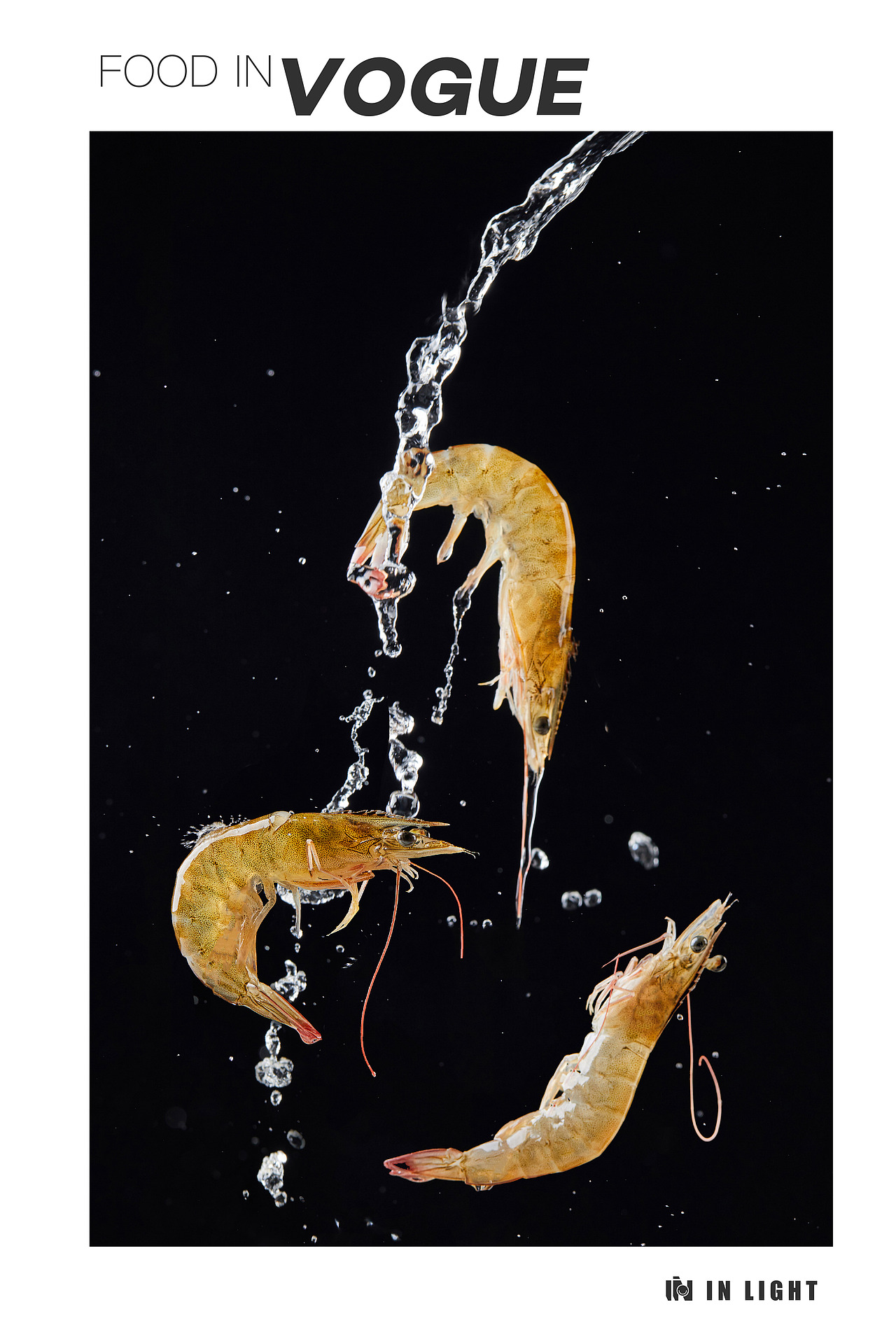 香味浓郁 元气满满 #IN LIGHT# 花胶鸡火锅拍摄