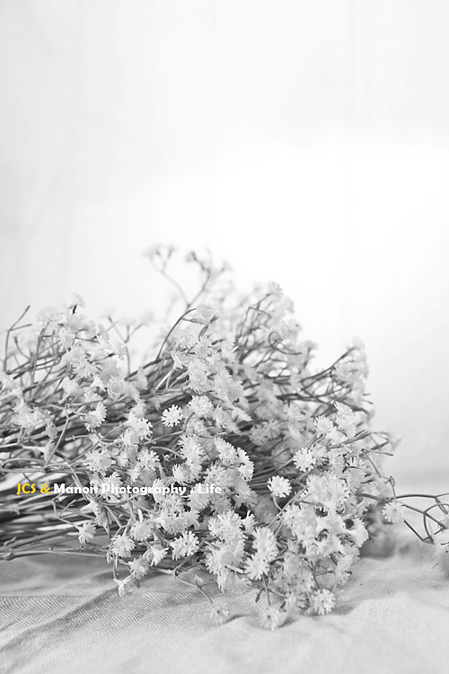 Little one.小生活