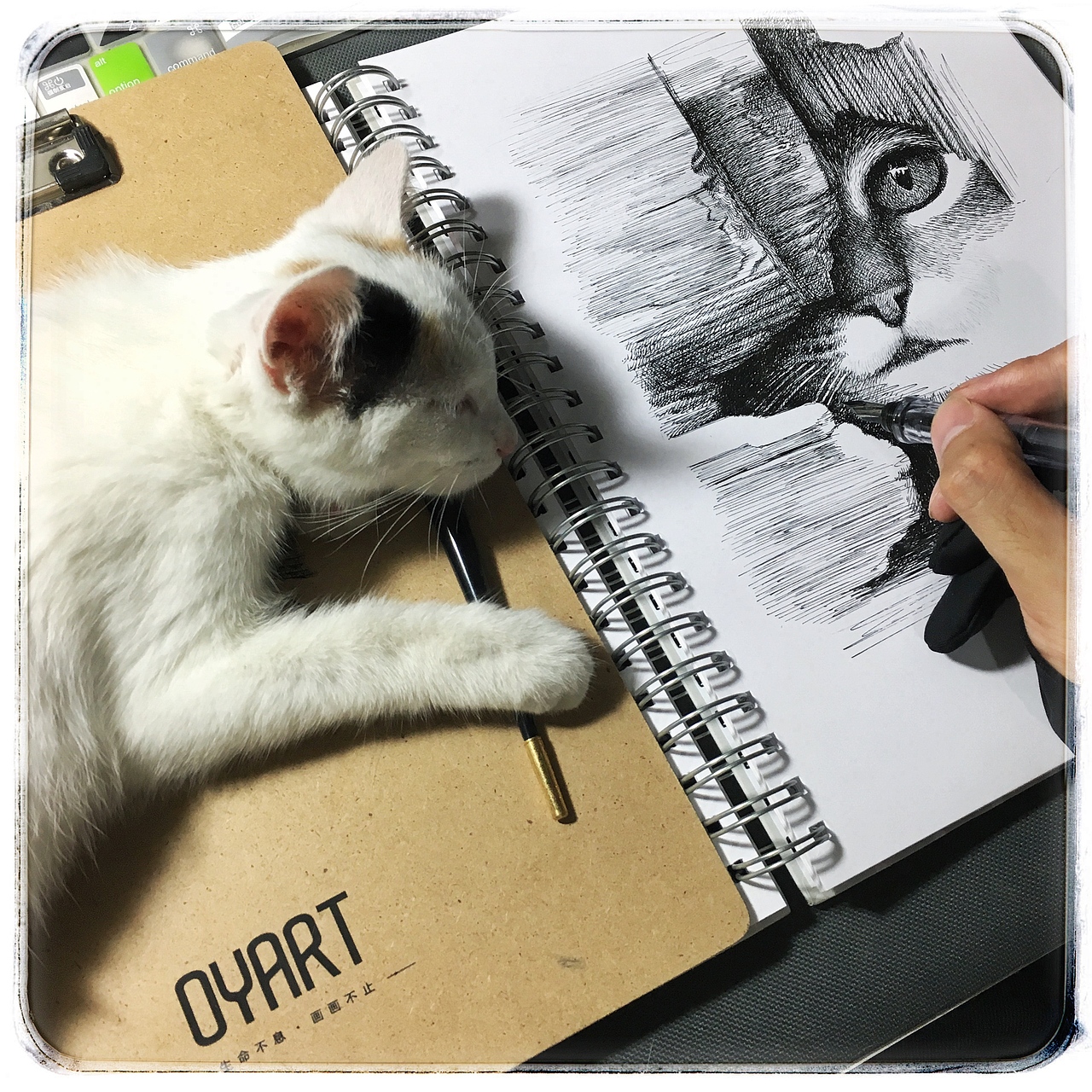 OY手绘·2016年作品选(图ZNjc5Nzc4OTY=) - 艺术插画 - 站酷设计师欧阳鹏杰_OY原创素材 - 站酷ZCOOL