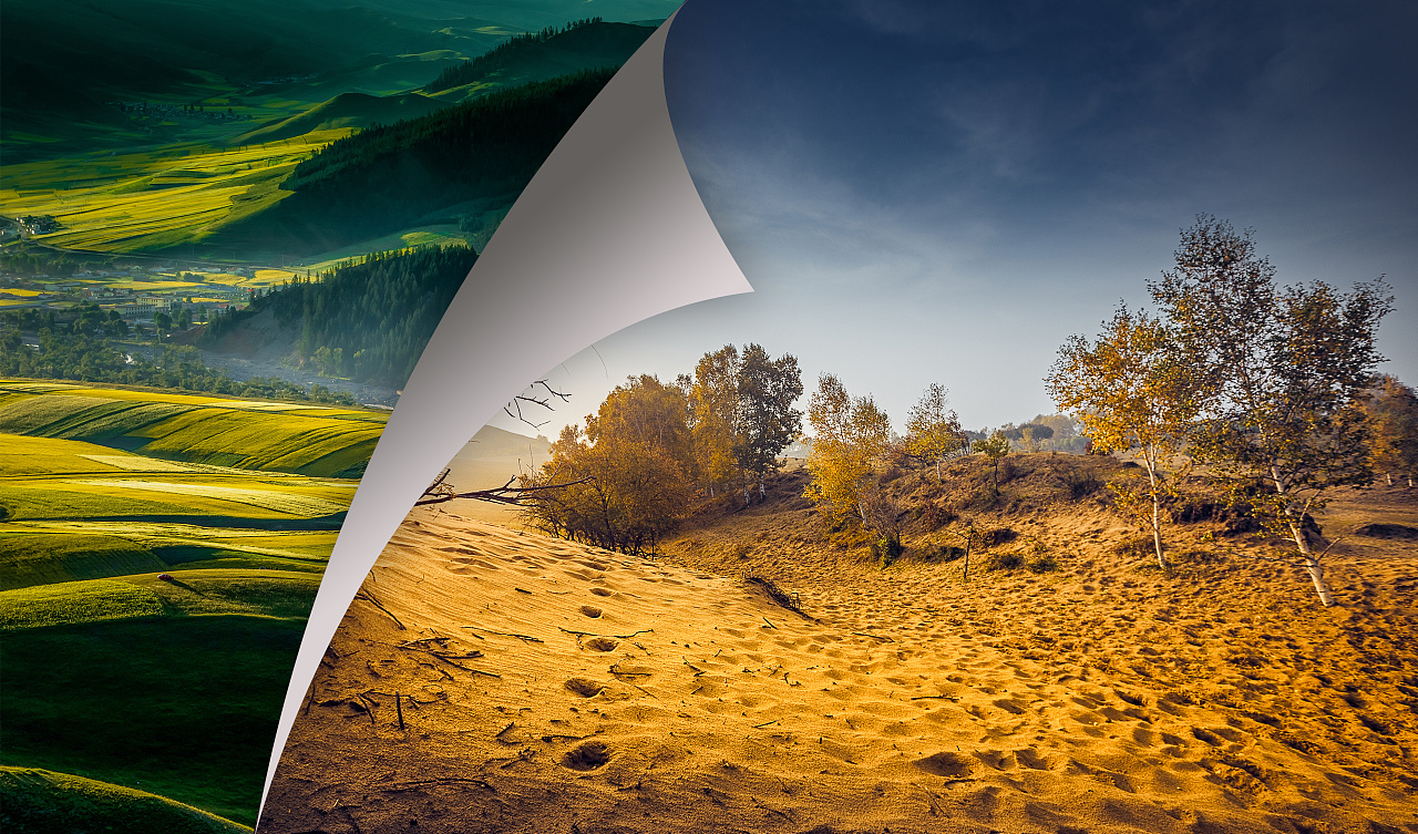 生态平衡|平面|海报|小西呀 - 原创作品 - 站酷 (zcool)