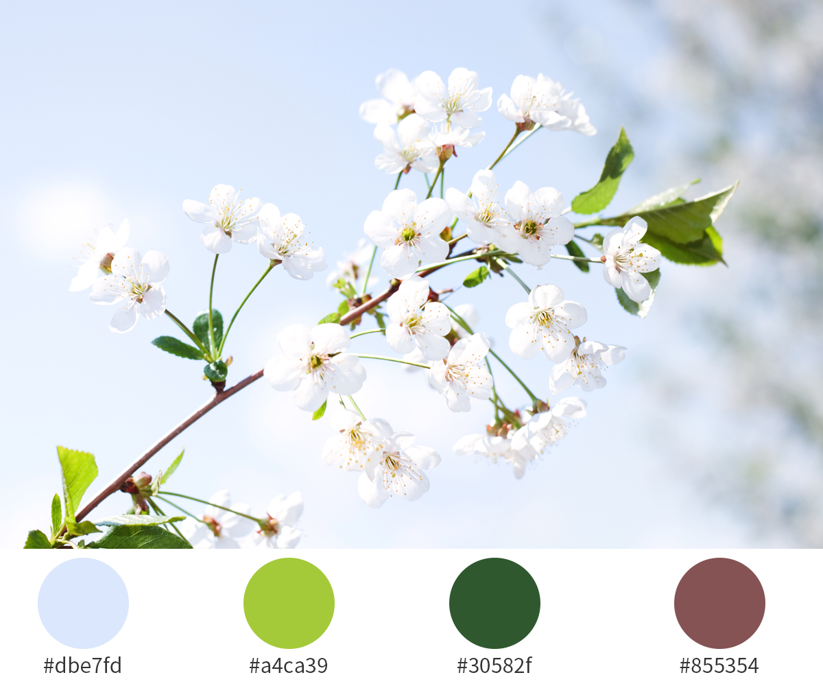 不负春光,献上春日赏花色彩搭配攻略!