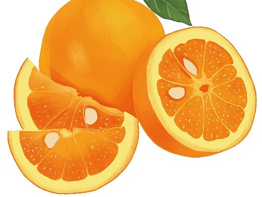 原创橙子线稿及手绘