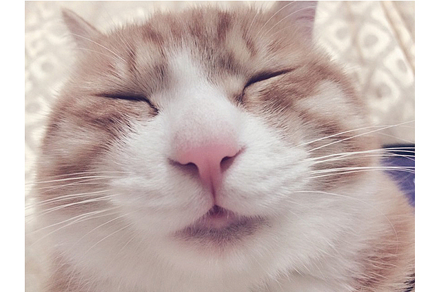 换个角度照,一秒钟变屌丝了,有木有?!