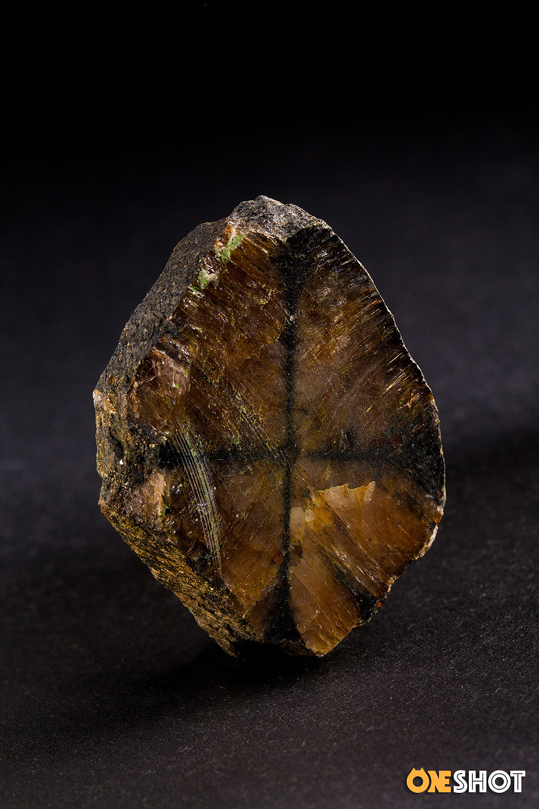 一些化石和矿石（图ZMTM4NTYyOTQ0） - 产品摄影 - 站酷设计师WildKay原创素材 - 站酷ZCOOL