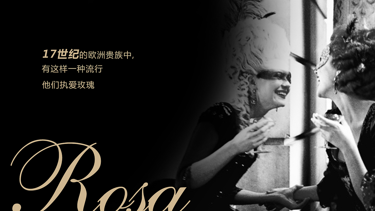 斯丽芬裤装品牌（图ZNzE3NjQ2MDQ=） - 品牌 - 站酷设计师Ola塔卡原创素材 - 站酷ZCOOL