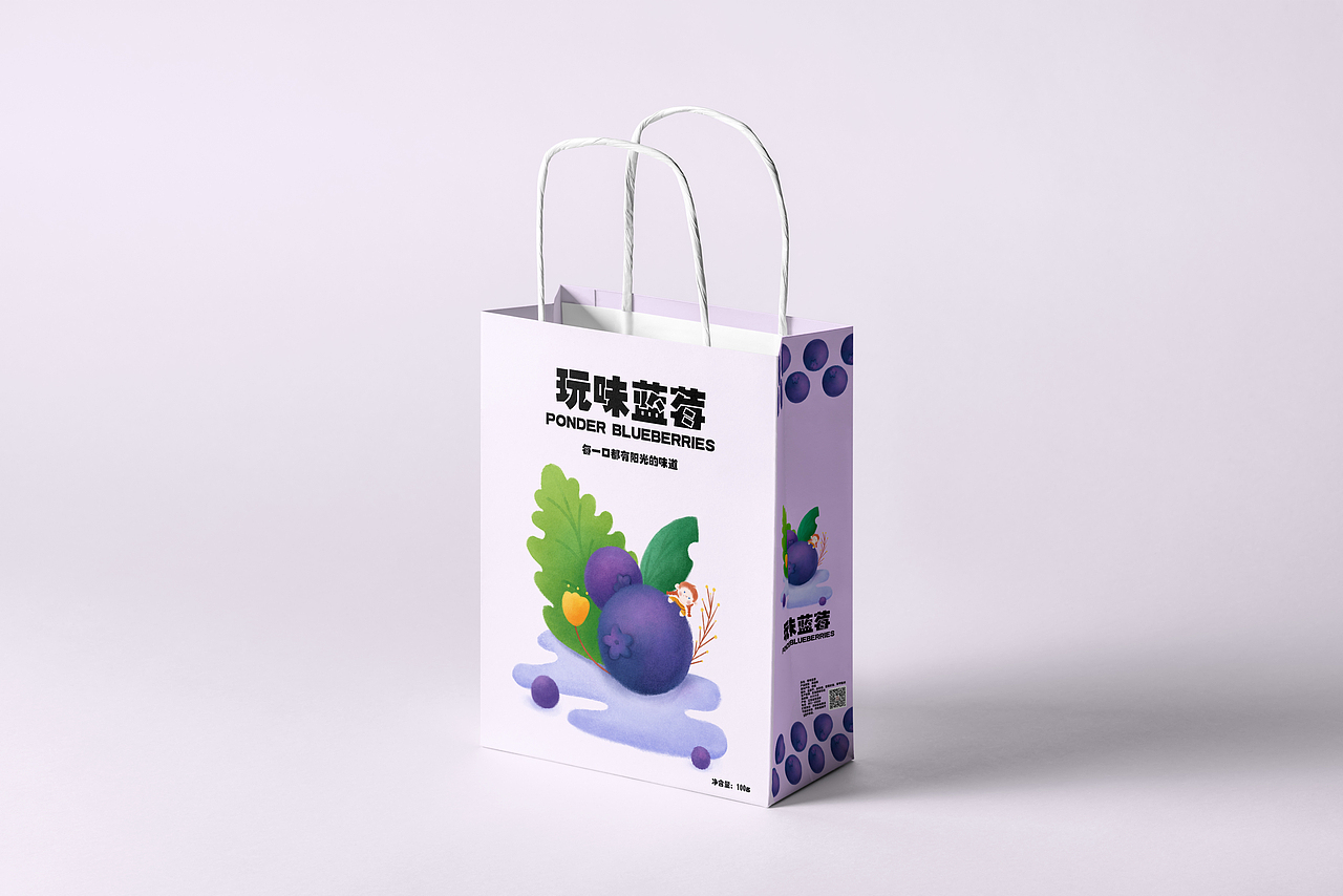 蓝莓插画包装