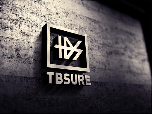 TBSURE BRAND DESIGN（个人主页-ZMzAwODc5NTY=） - 品牌 - 站酷设计师Jerry__原创素材 - 站酷ZCOOL