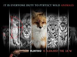 禁锢-保护野生动物，守卫共同的家园