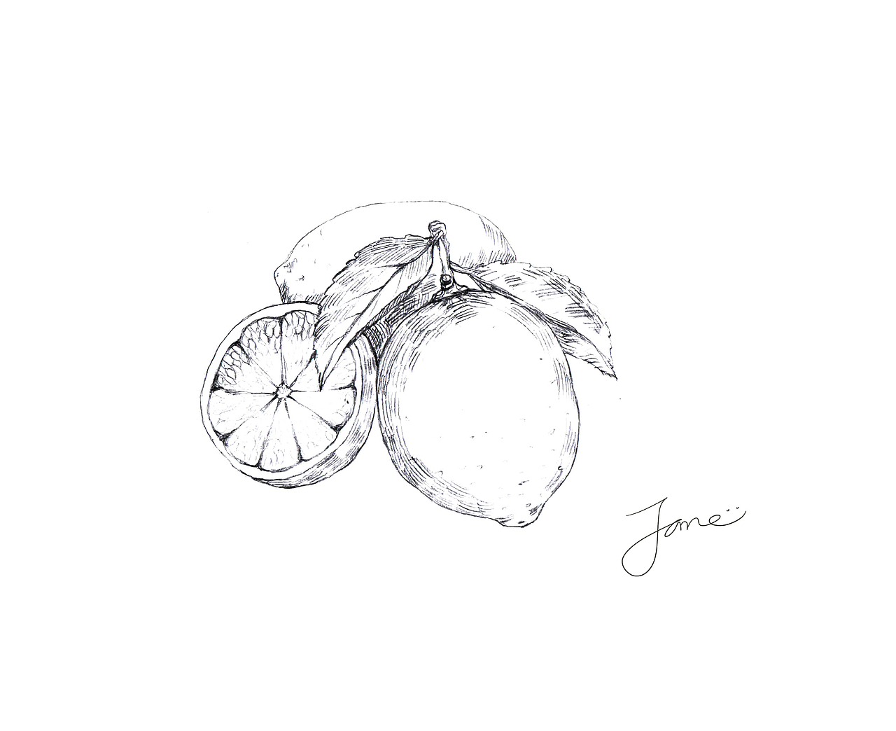 近作（图ZNTQ4MTQ1NTY=） - 创作习作 - 站酷设计师毛线热干面原创素材 - 站酷ZCOOL