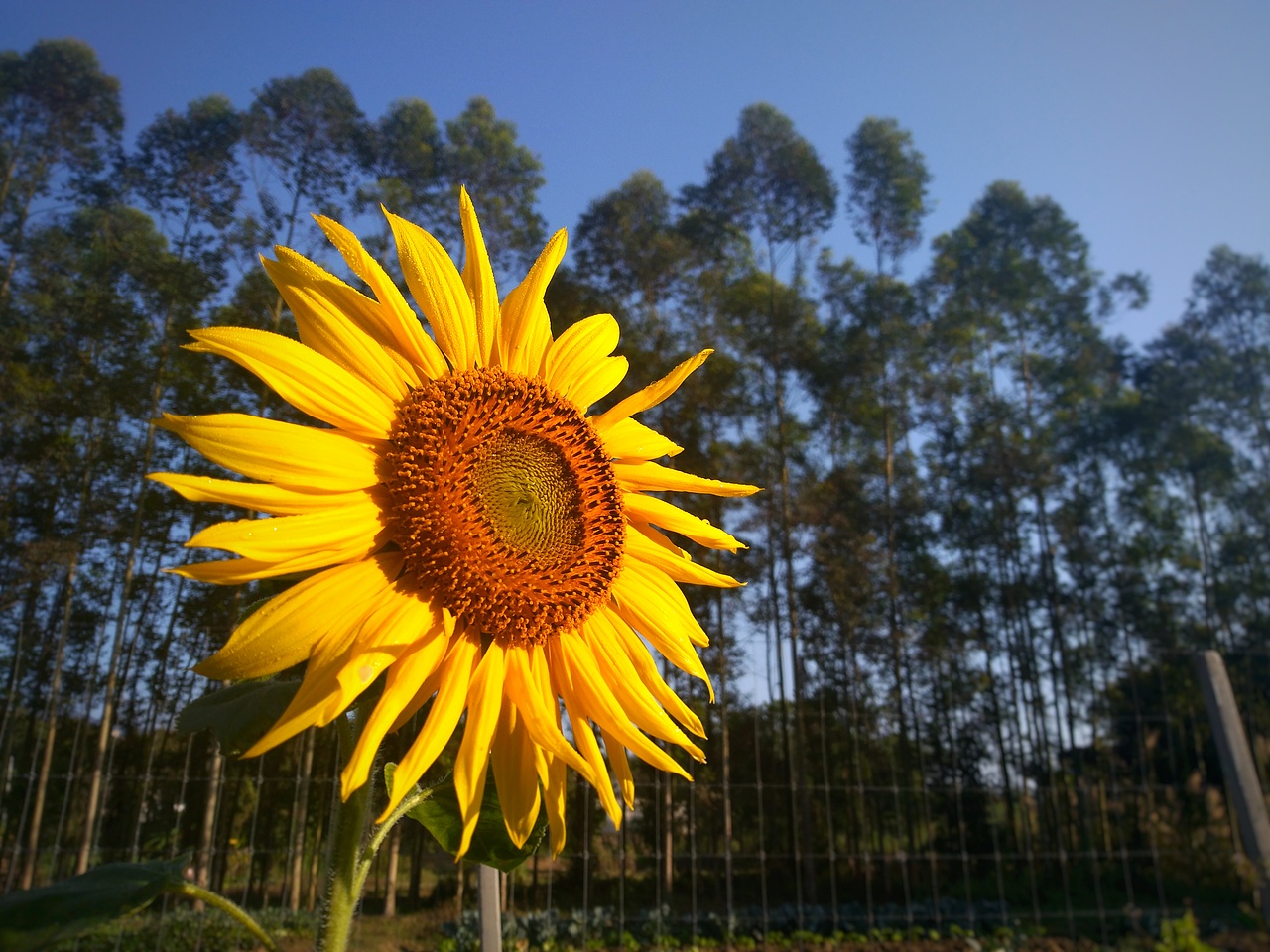 取舍，回归初心（图ZMjgxNDg1OTMy） - 风光摄影 - 站酷设计师治愈的花园原创素材 - 站酷ZCOOL