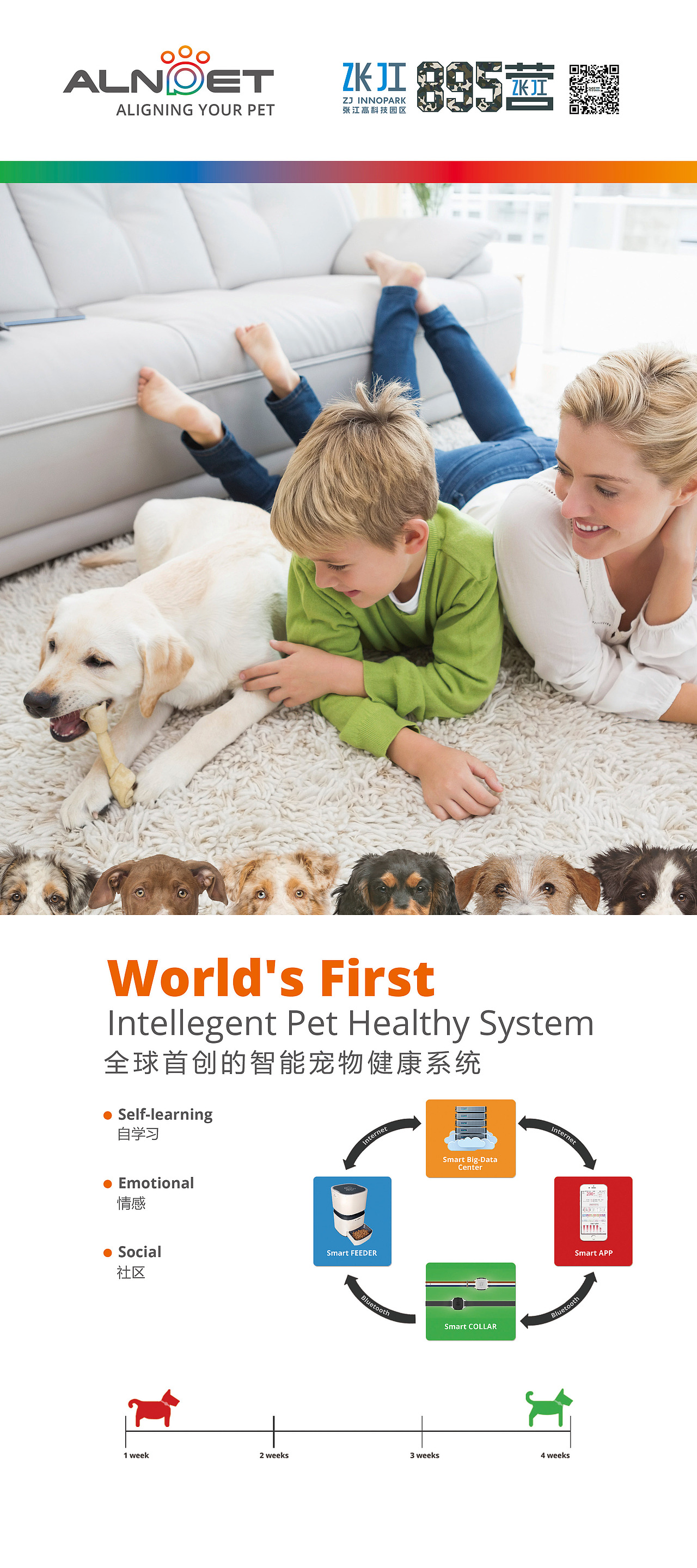 2015年 X展架设计