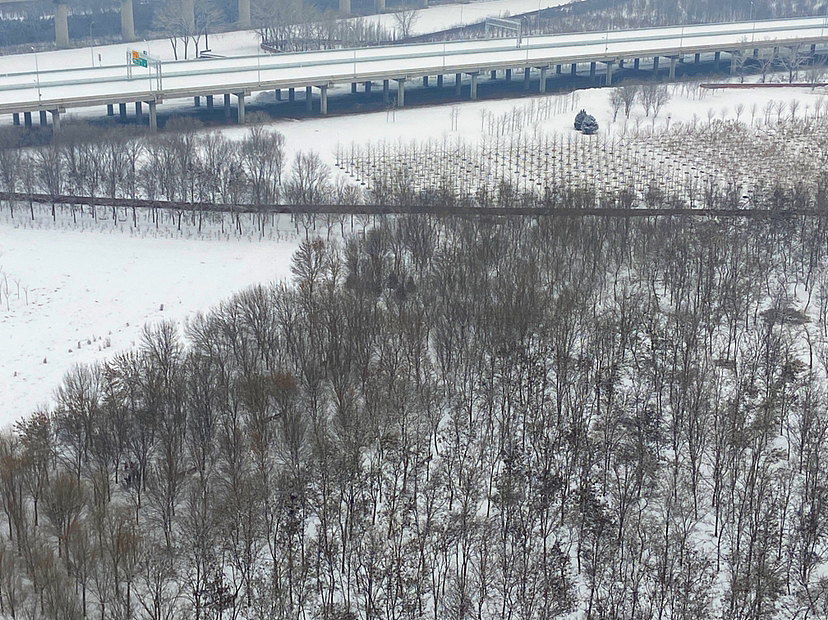 刘勇良手机纪实摄影:雪后美景