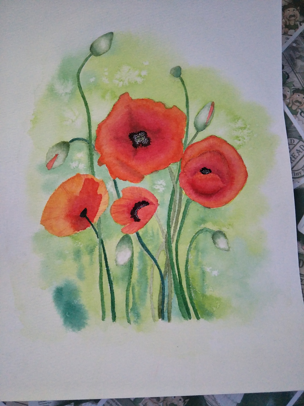 罂粟花（图ZMTI5NDcwOTUy） - 创作习作 - 站酷设计师a萱草无忧a原创素材 - 站酷ZCOOL