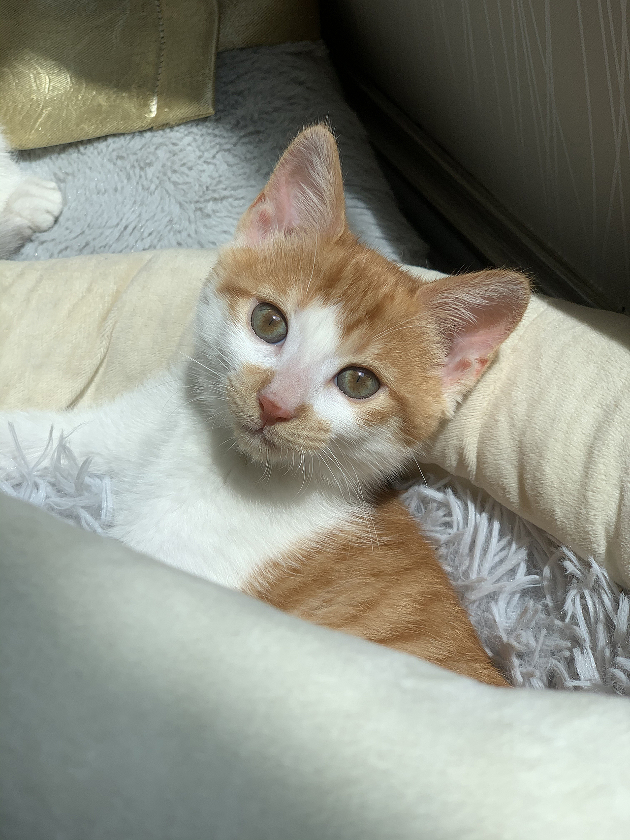 摄影—奇奇妙妙