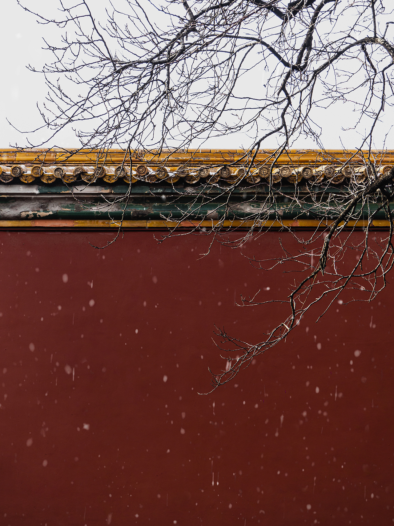 故宫雪景唯美高清图片壁纸 - tt98图片网