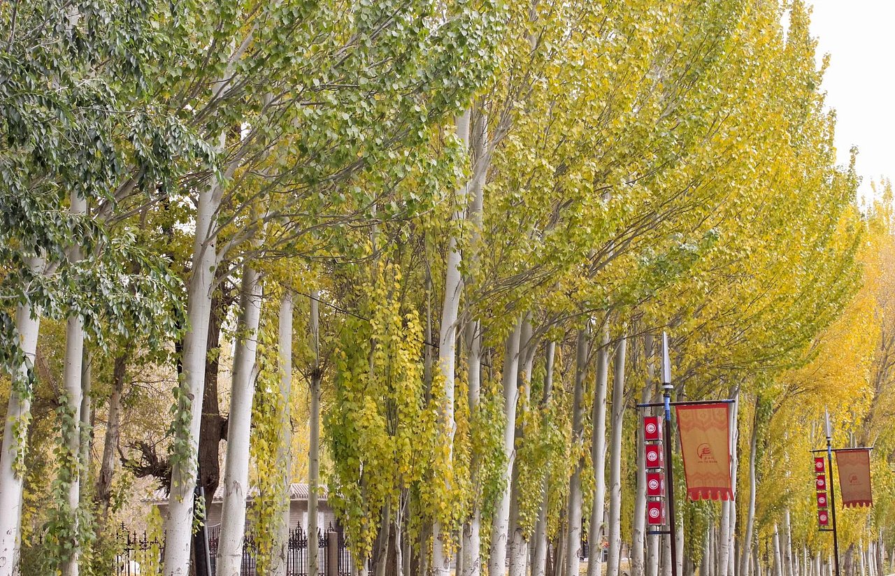 【旅行的意义】一颗心，一座城（图ZNjg4NjA5MDg=） - 风光摄影 - 站酷设计师adale木木原创素材 - 站酷ZCOOL