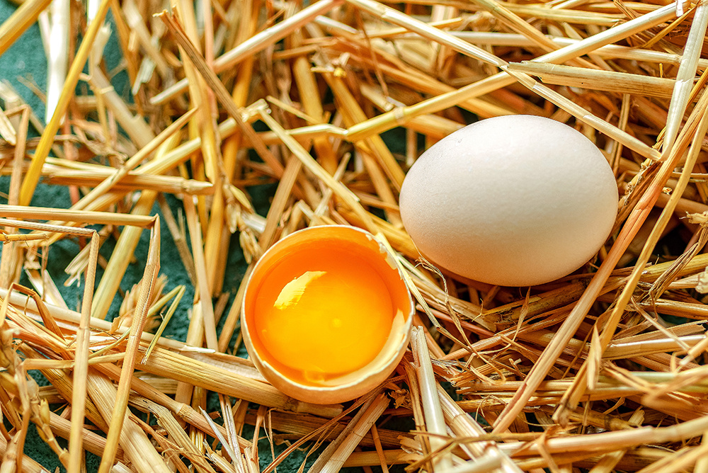 土鸡蛋农副产品拍摄